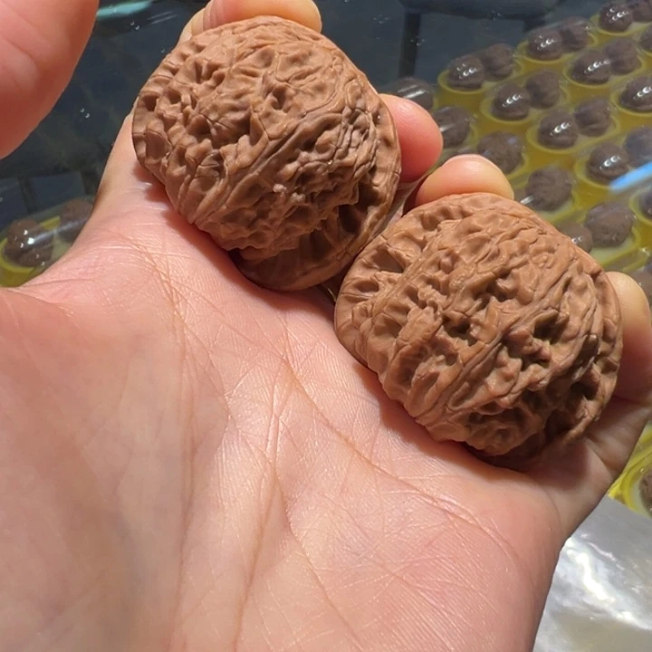 文玩核桃把件40白狮子