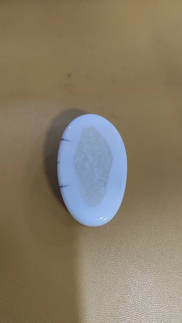 猛犸虬约20.8克饼子TD1099