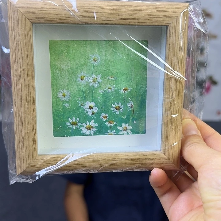 国画纯手绘雏菊摆台【12*12】送框