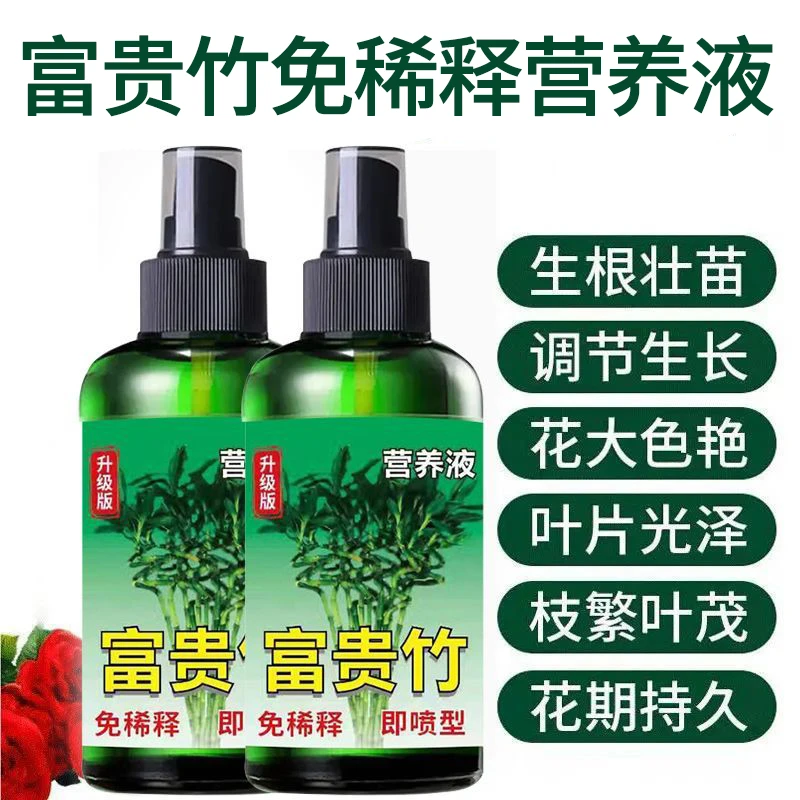 富贵竹黄叶专用一喷绿营养液观音竹子水培土培家用植物养花水肥料