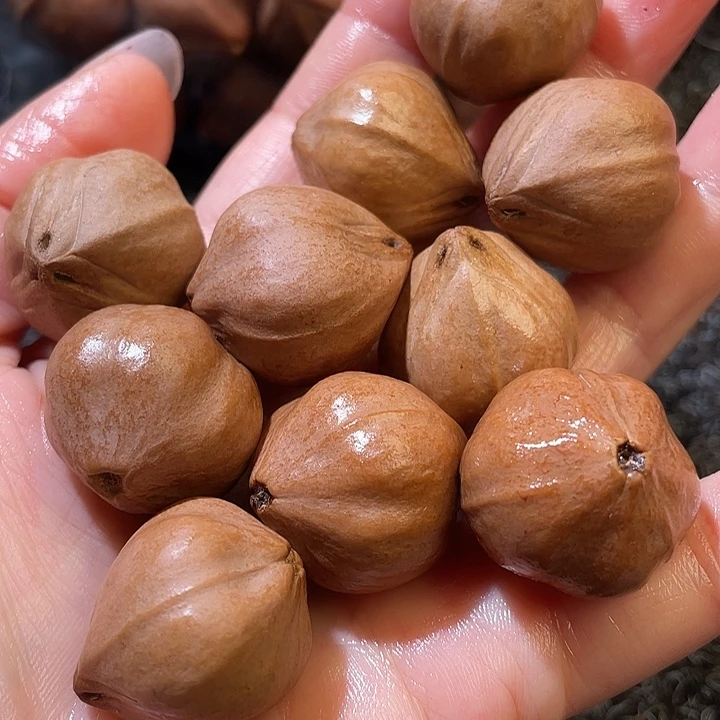 山***食吊坠橄榄核2.3✖️2.5