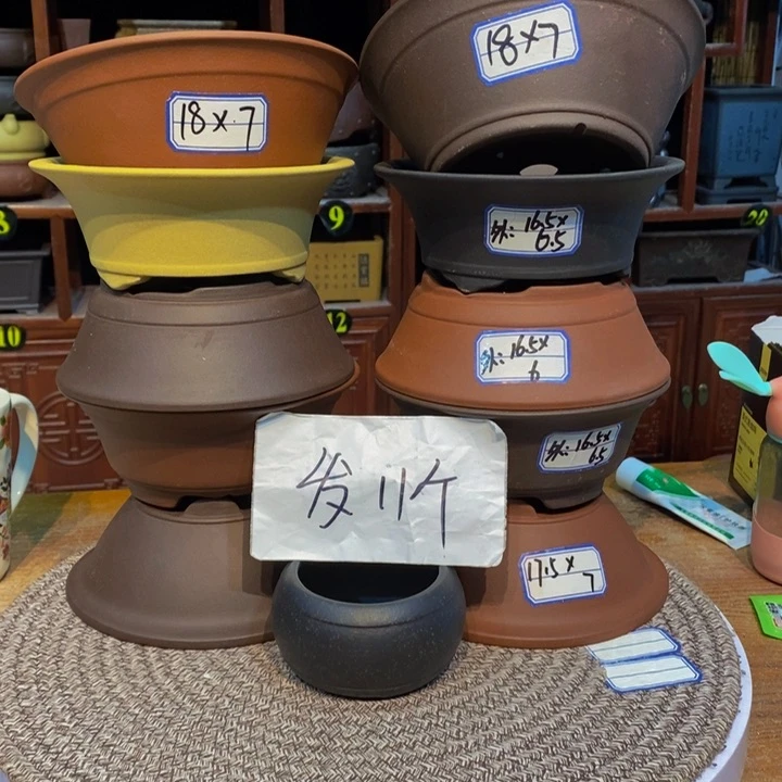 紫砂花盆紫砂花盆