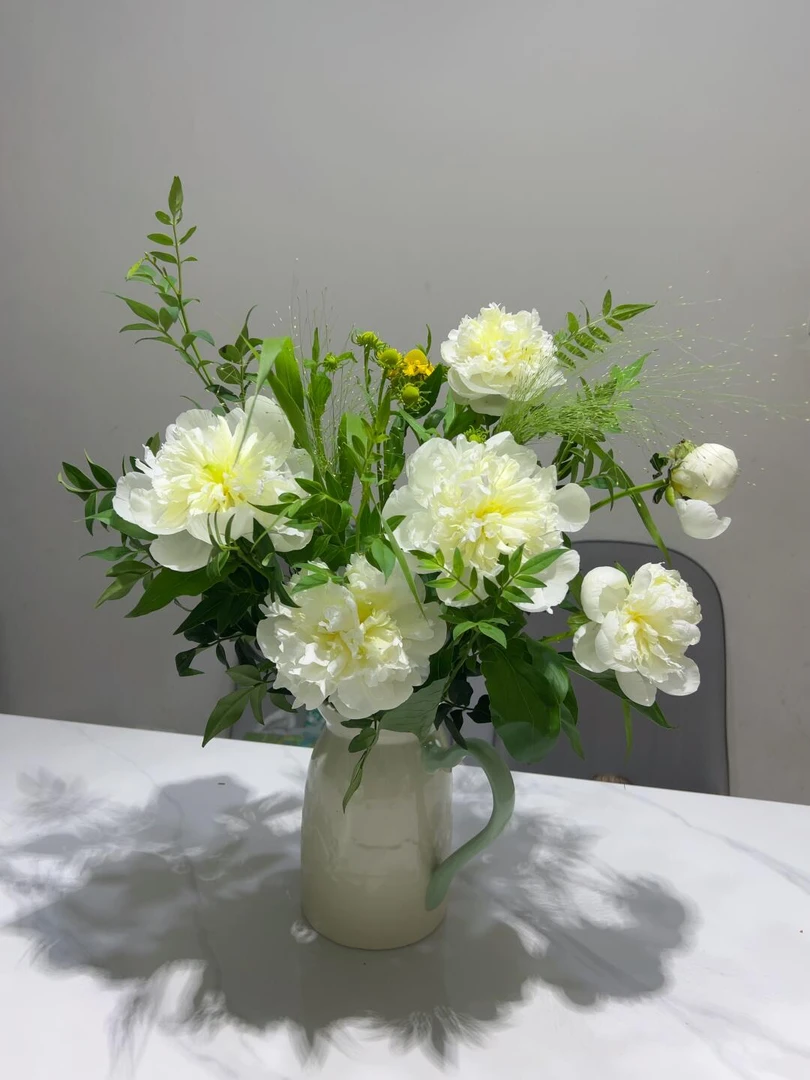 【雪魄】高端芍药新品发布 山东菏泽基地直发 带盆带土精品盆栽芍药