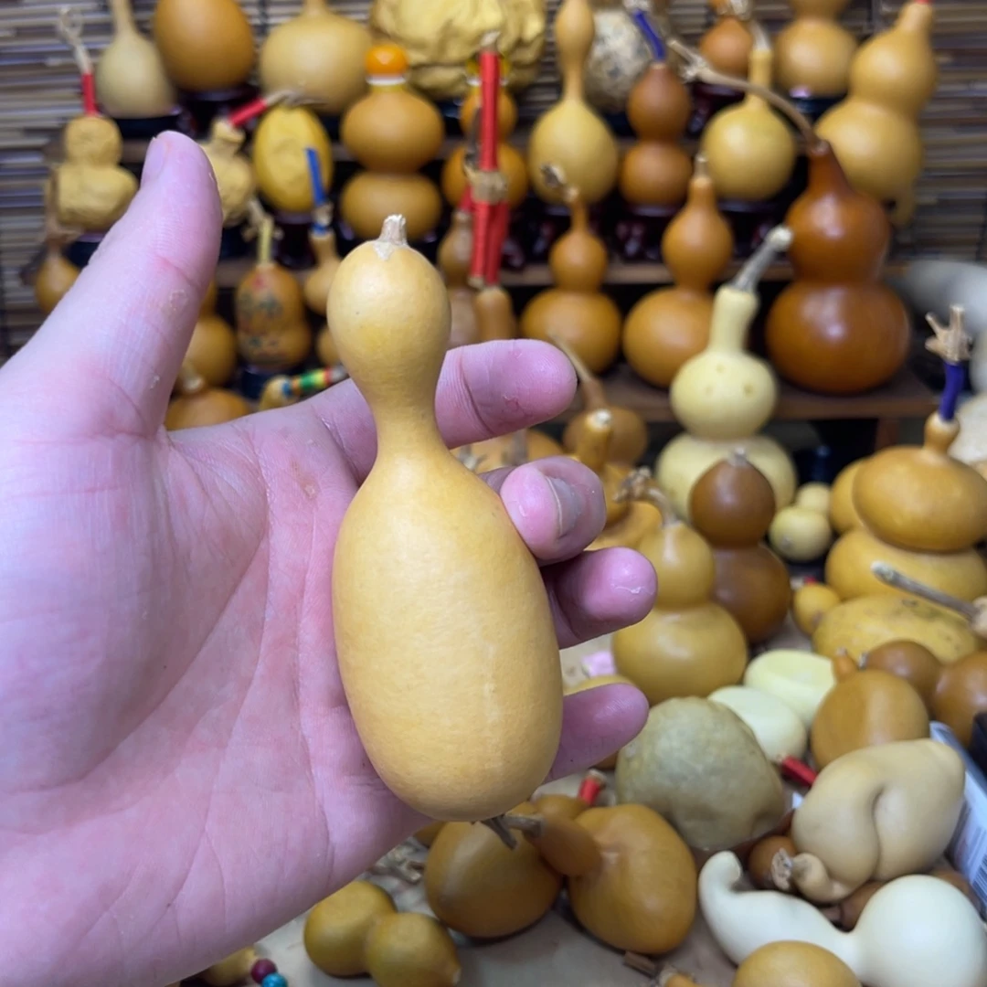 鸡腿瓶子厚皮不响籽4