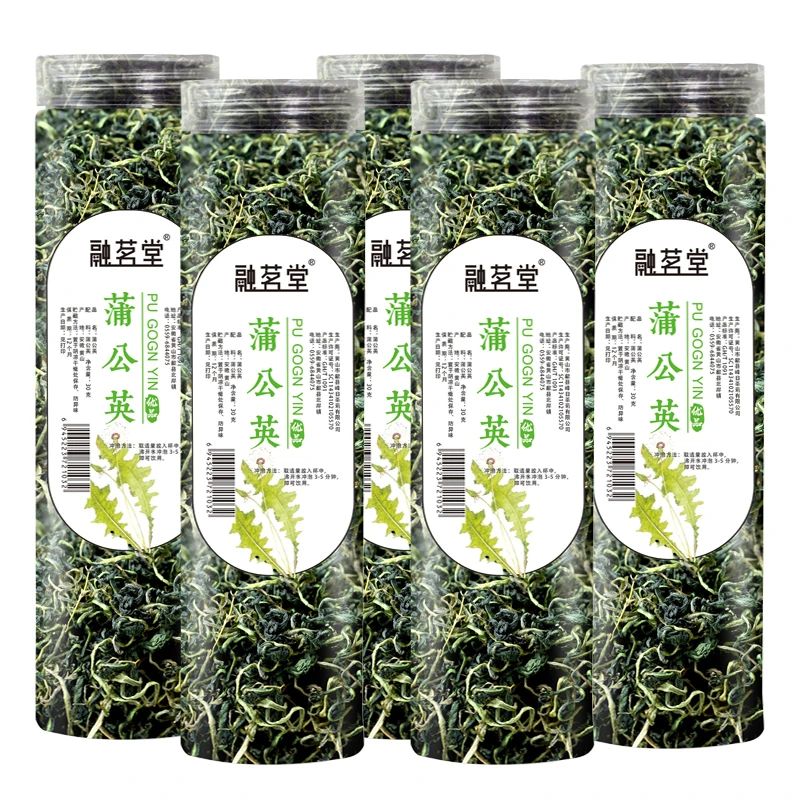 【5罐】新茶上市长白山蒲公英茶菊花茶罐装婆婆丁