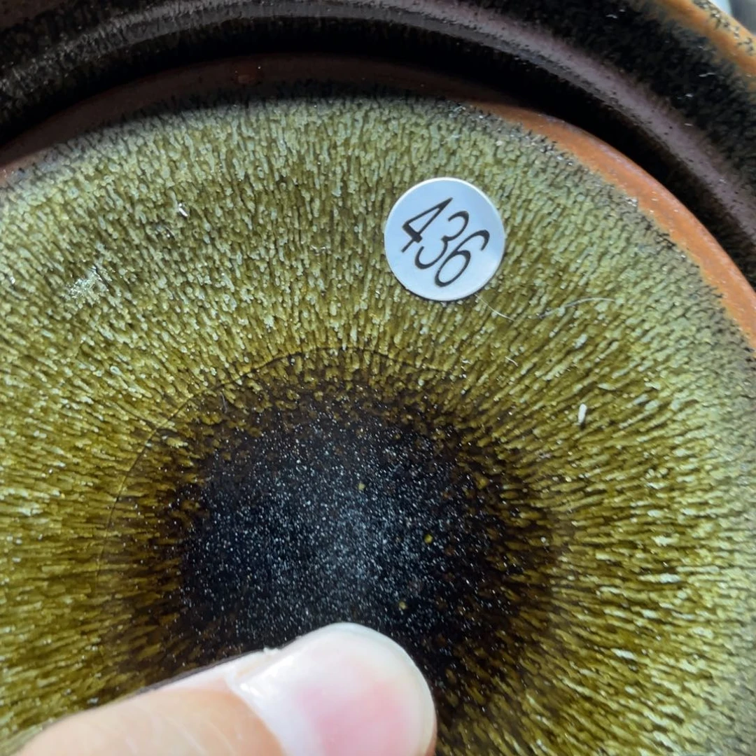 茶盏66666666666666666