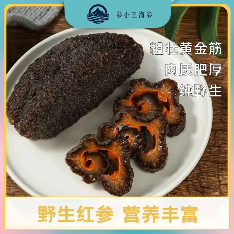 潜水捕捞天然野生即食海参3斤海参花2斤到手5斤➕1个天然海螺