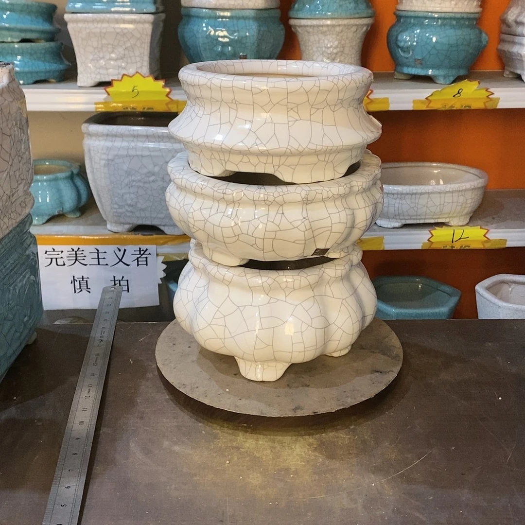 1****2花盆花盆里的花都