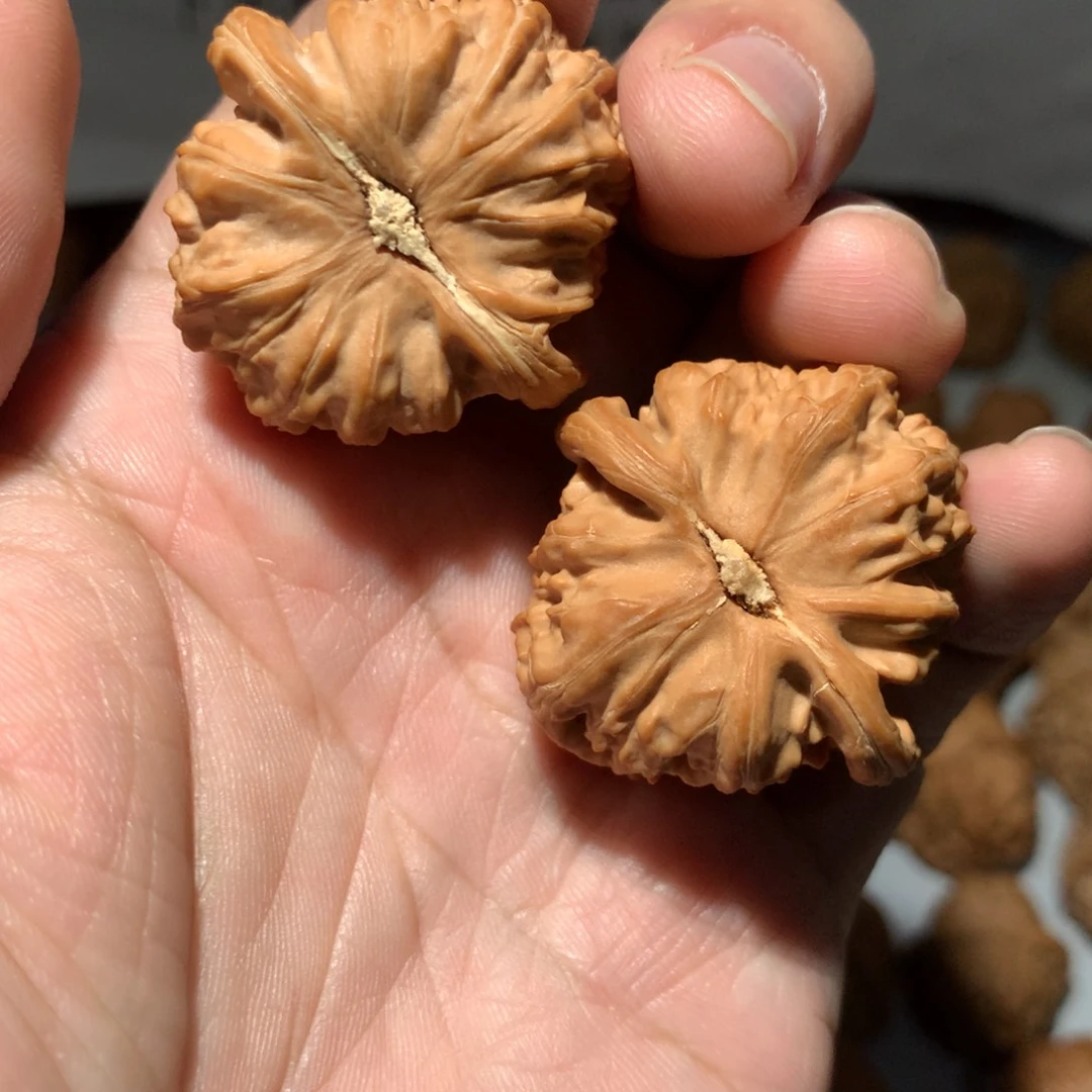 不***籽把件文玩核桃苹果哥专拍白狮子