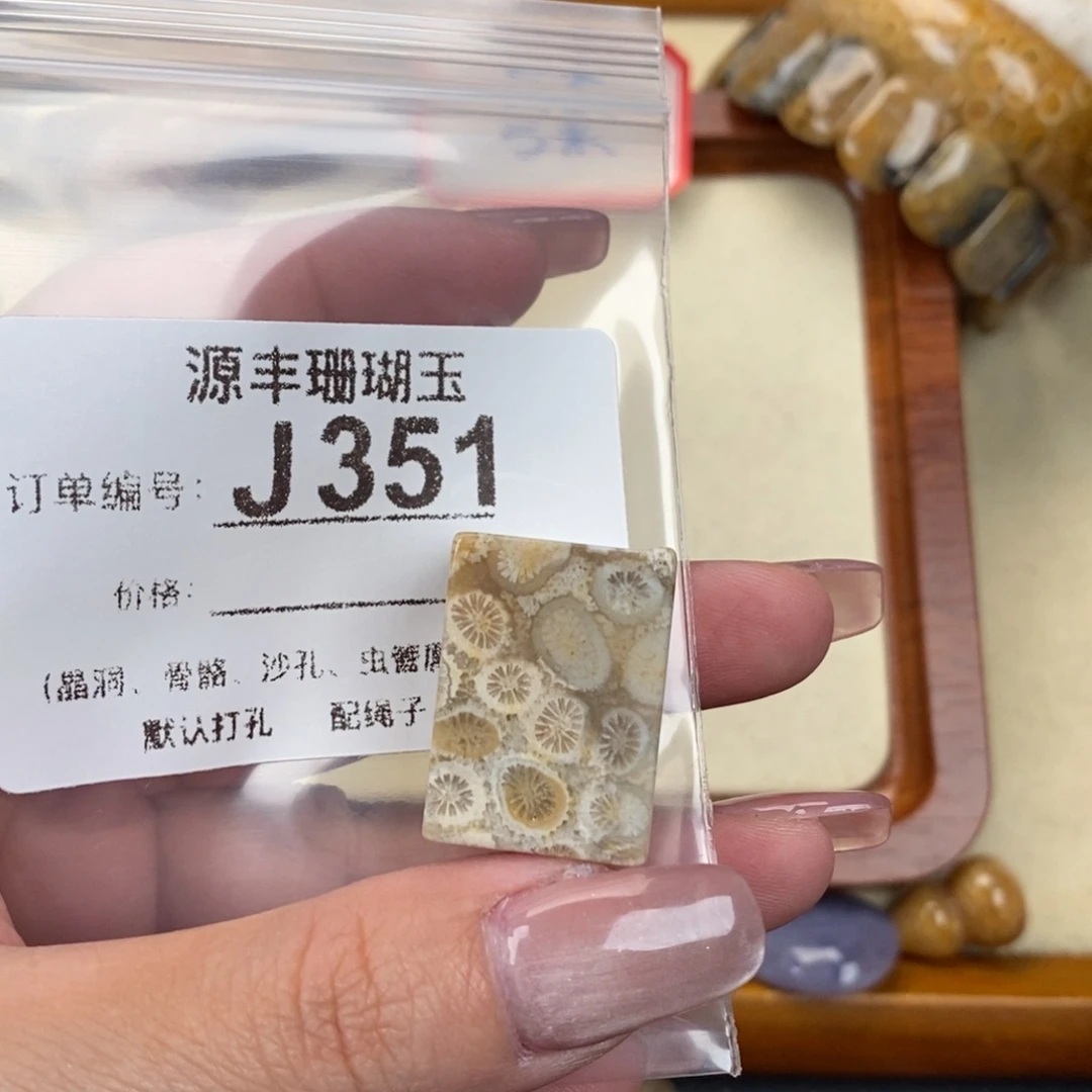 硅化玉颈饰未镶嵌珍*宝