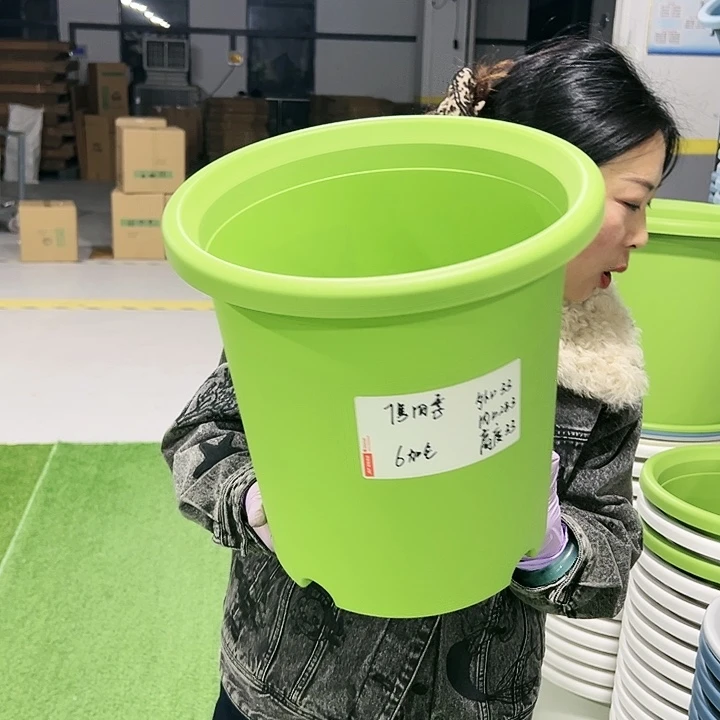 特价7号口33高33果绿色6只无托