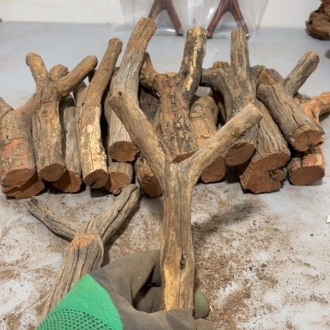 大果紫檀（缅甸花梨）用****7