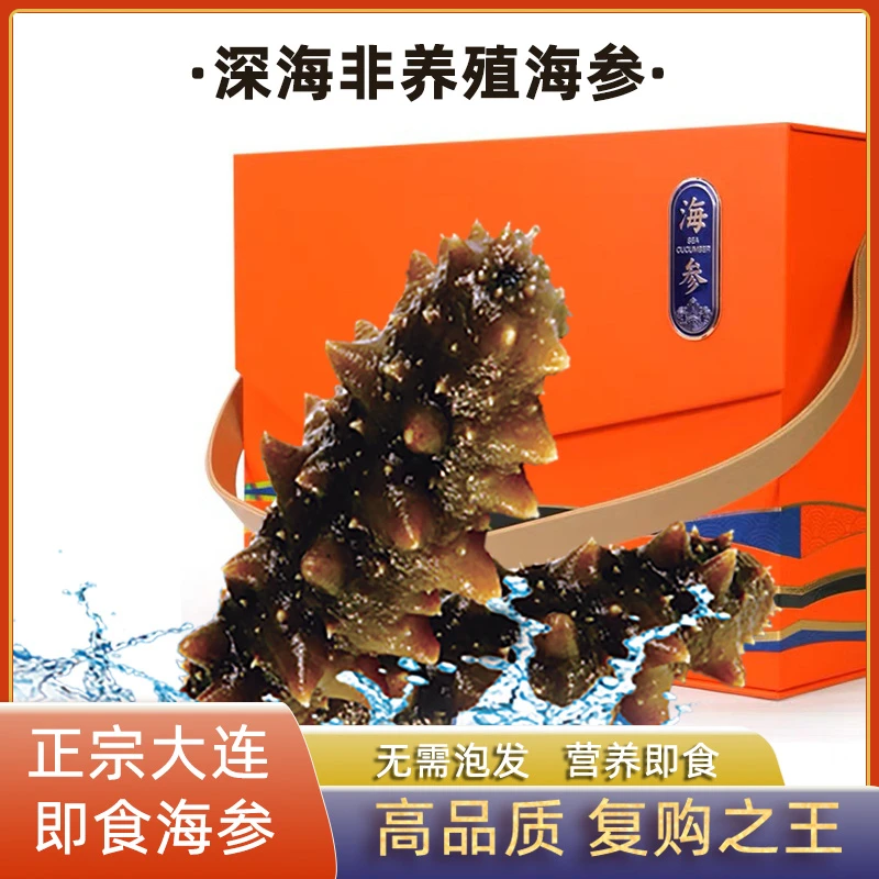 大连女山岛鲜食海参 9A海参非干货孕妇海参大连即食海参礼盒
