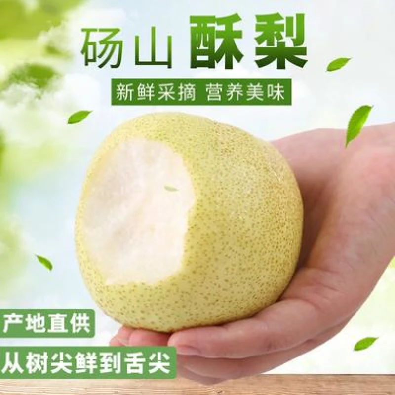 正宗砀山梨新鲜现摘青脆蜜梨皇冠梨水果脆甜无渣多汁爽口当季头茬梨安徽省