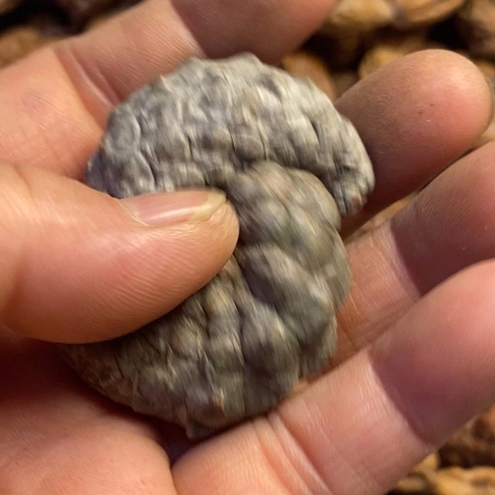 文玩核桃吊坠东北特产91