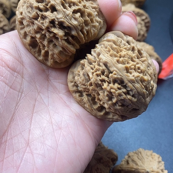 吊坠龙脊菩提南江石46