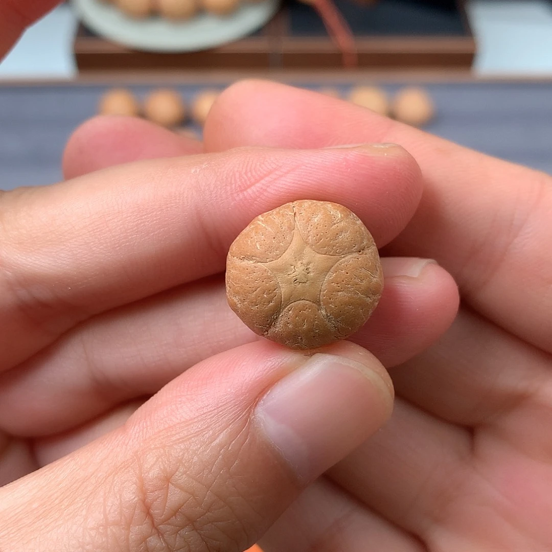 手串凤眼菩提18+五星，非质量问题开孔不退