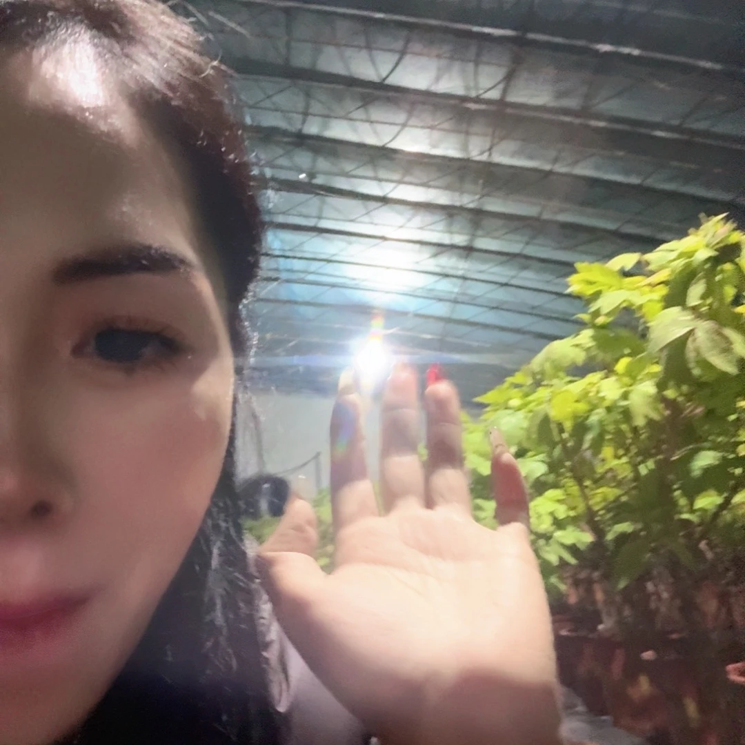 完全开放111111111111