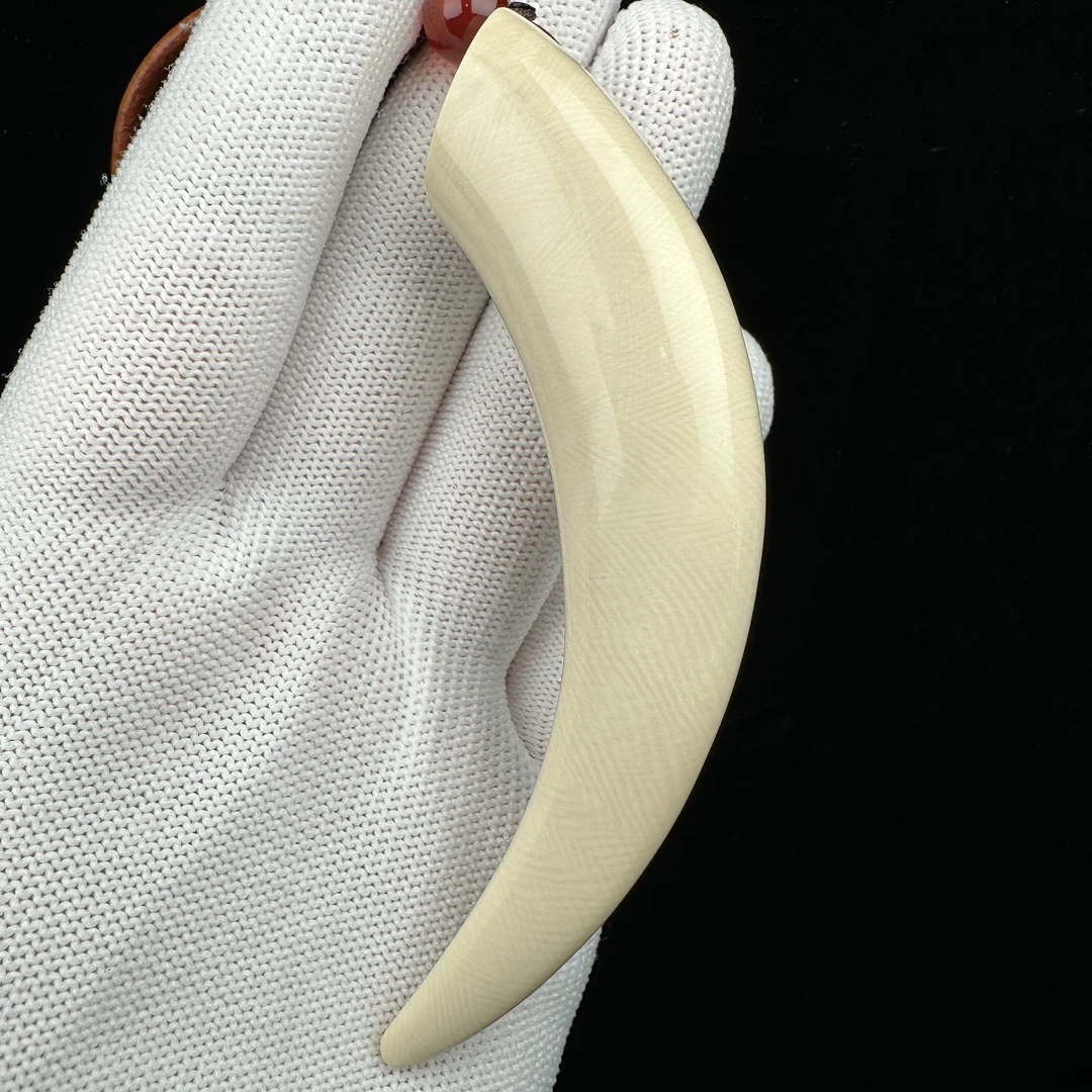 L2681天然猛犸牙 牙尖92.5mm支持鉴定 假一罚四