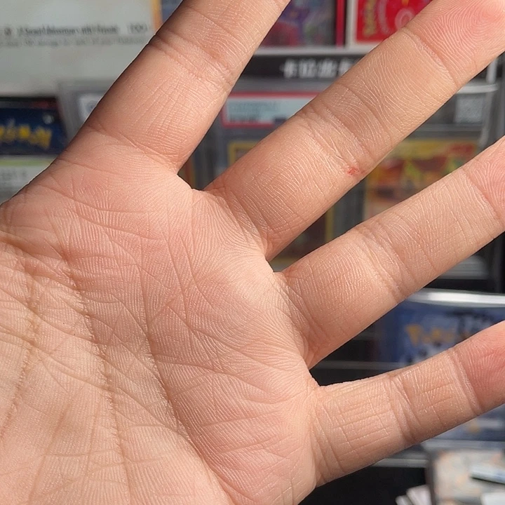 宝可梦收藏类卡包