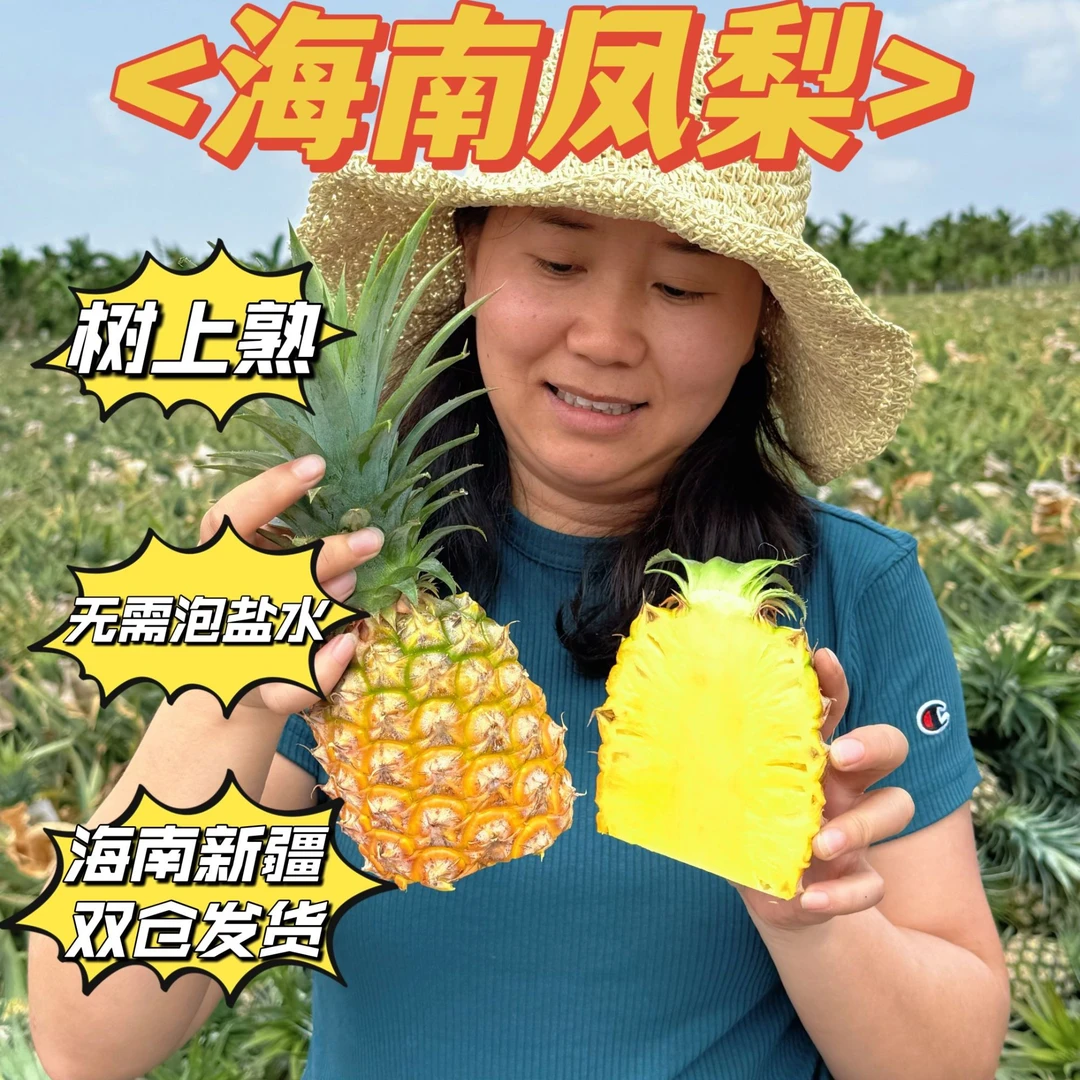 （新疆包邮）海南金钻凤梨自然成熟香甜可口新鲜水果热带风味