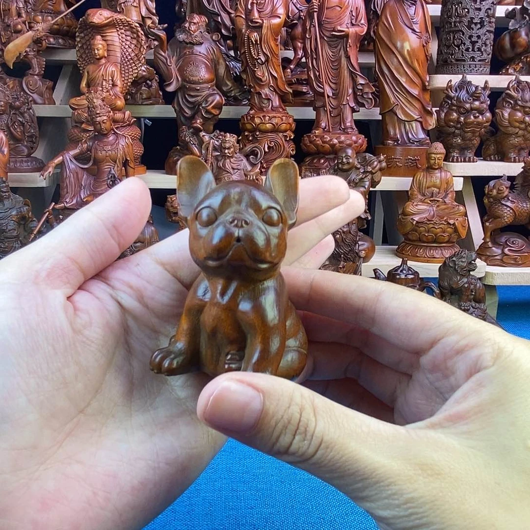 黄杨木小叶黄杨木