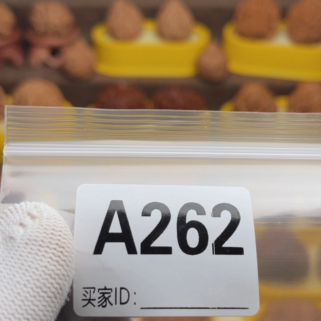 文玩核桃吊坠不*。血麒麟262