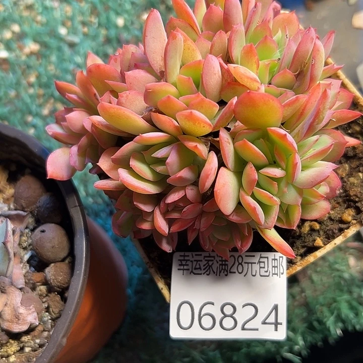 幸运的是我还没遇到过