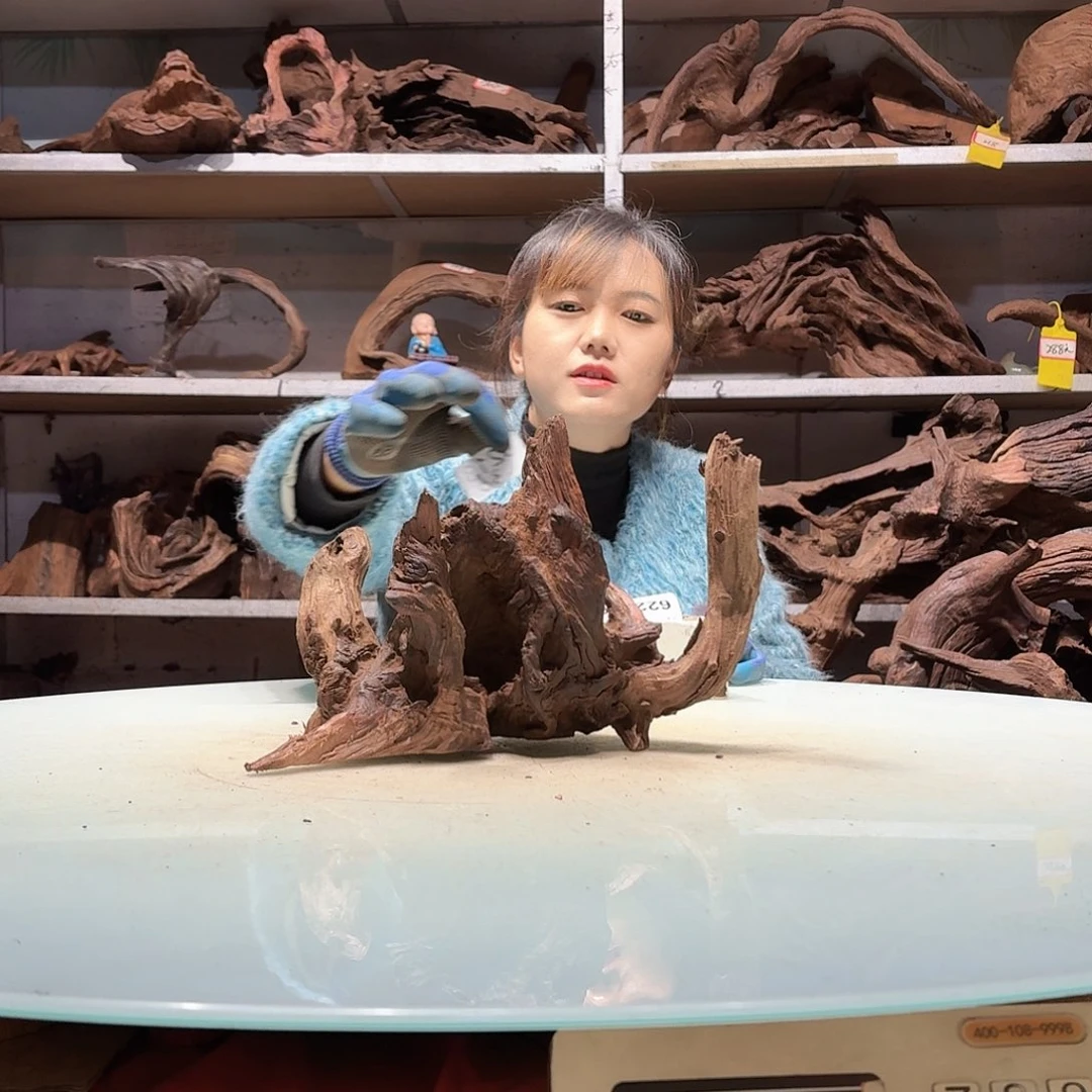 倍褚沉木，不包损必褪色瞬*间6213