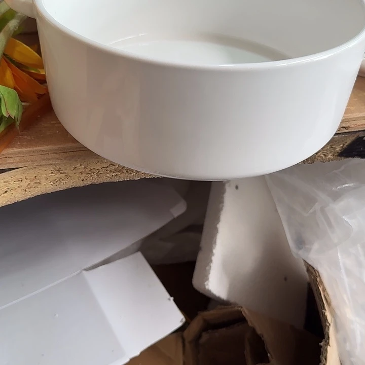 外贸尾单高温陶瓷微瑕八寸双耳大汤碗