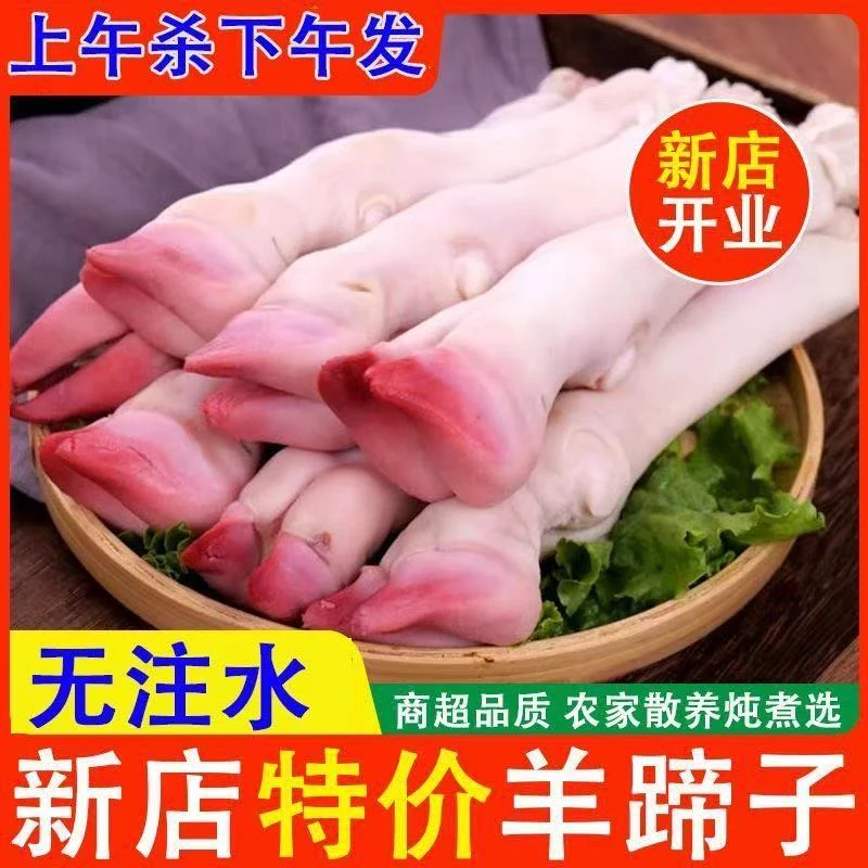 【拍5斤送3斤】8斤净重带筋黑花羊蹄新鲜现宰营养丰富冷链包邮