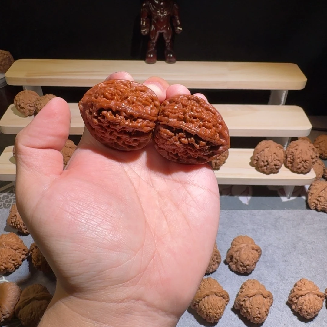 大叶紫檀（黑酸枝木类）