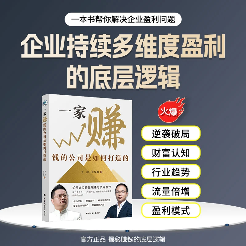 TC【王冲新书】一家赚钱公司是如何打造的+108种变现+68集视频-LZQ