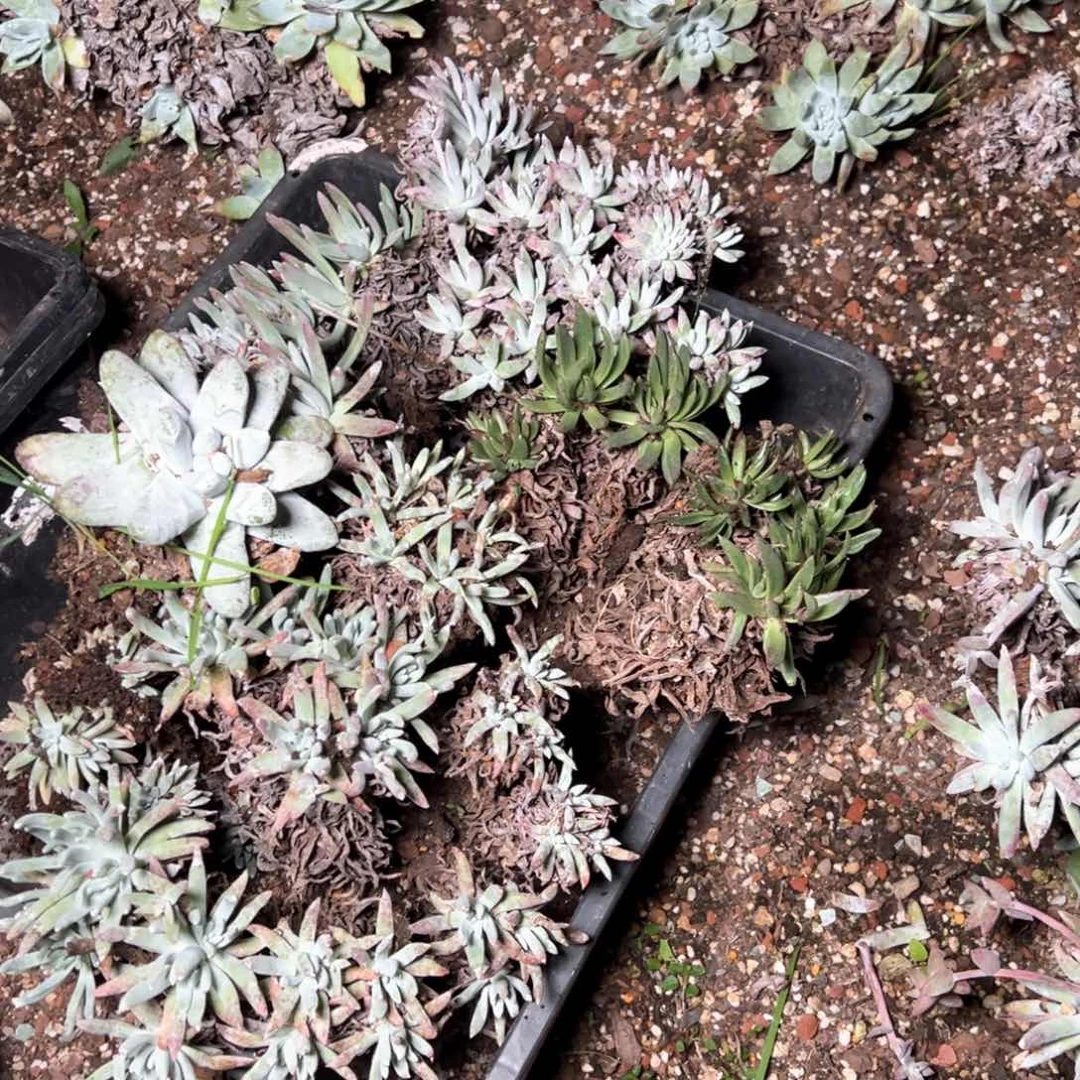 5536哈哈哈哈哈哈哈