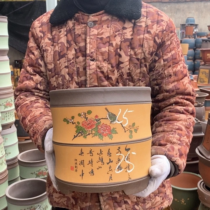 紫砂花盆盆栽花卉苗木种植