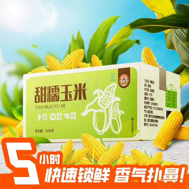 肆柒农场【绿色食品】东北甜糯玉米到手8根