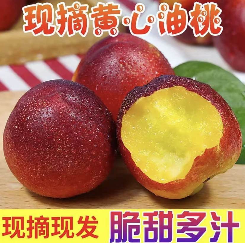 山东黄心麻脸大油桃脆甜多汁新鲜现摘应季水果