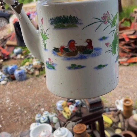 杂色豆（科檀/科特迪瓦檀木）喜*