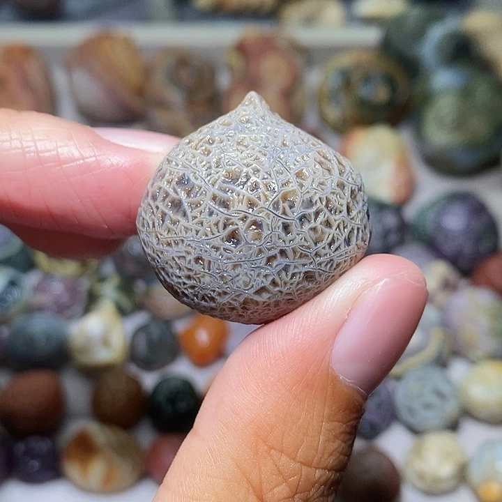 石头精品筋脉单科