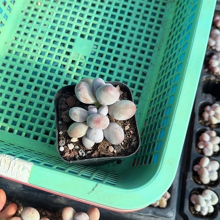 青***事xv z x h j j 141