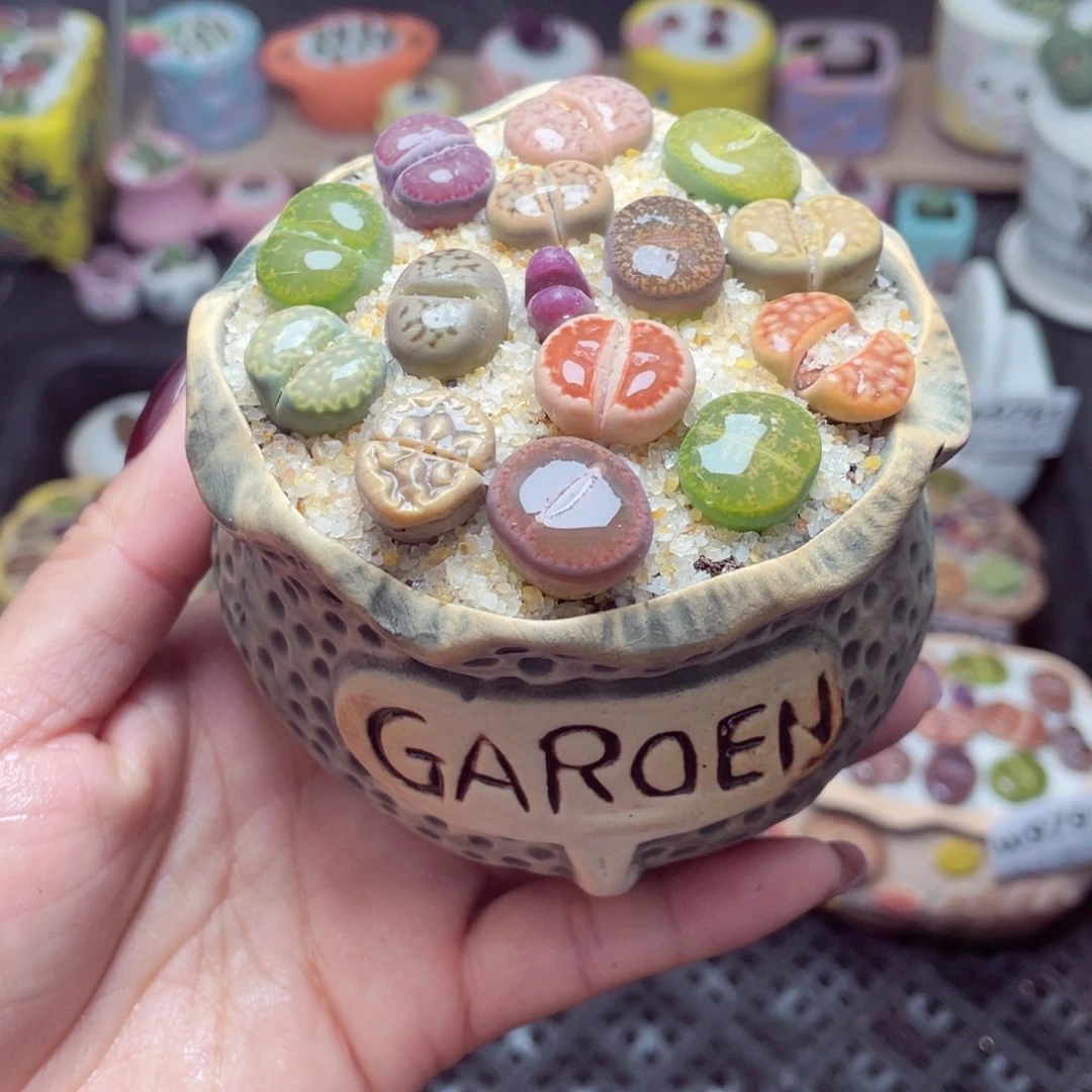 w9793 带盆土发货-零下地区拍保温箱