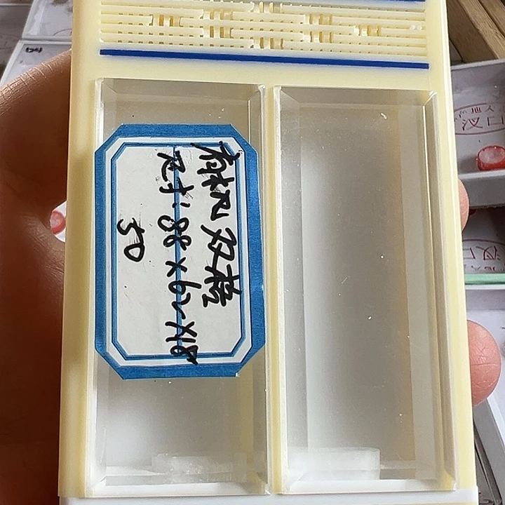 一只双格黄蛉盒好