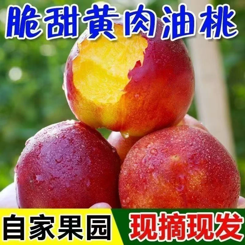临夏当地黄心大油桃