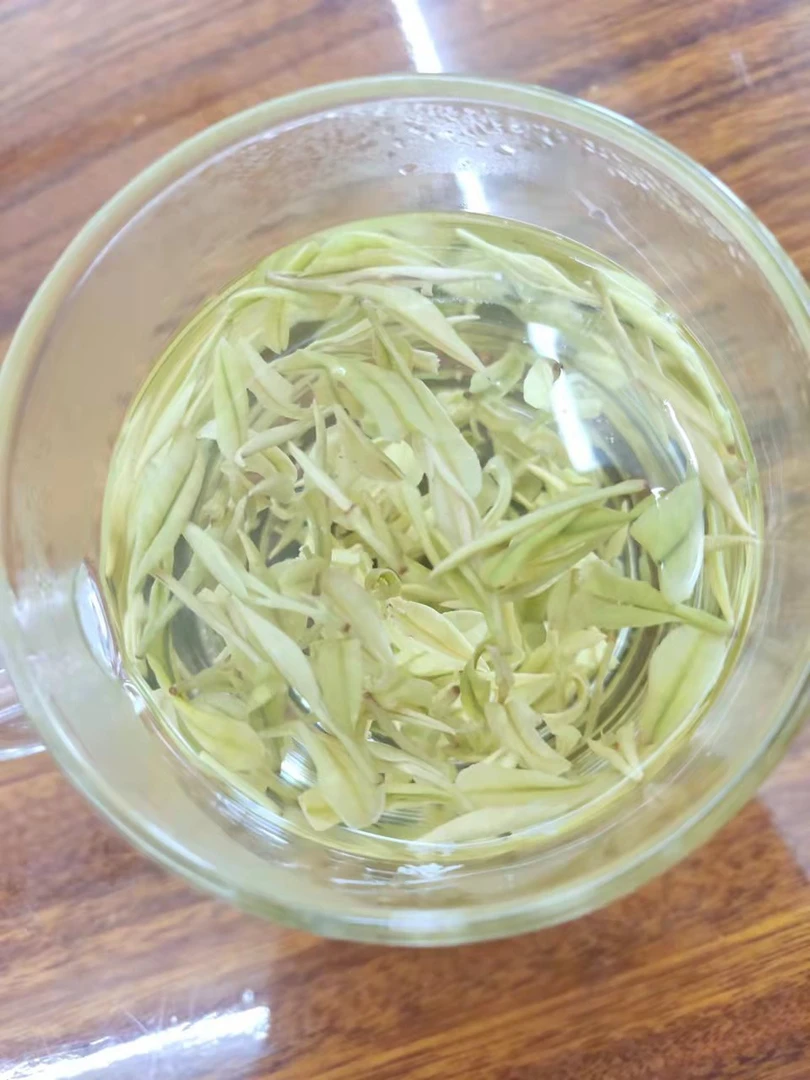 2025年新茶原产地高山黄金芽奶白现茶