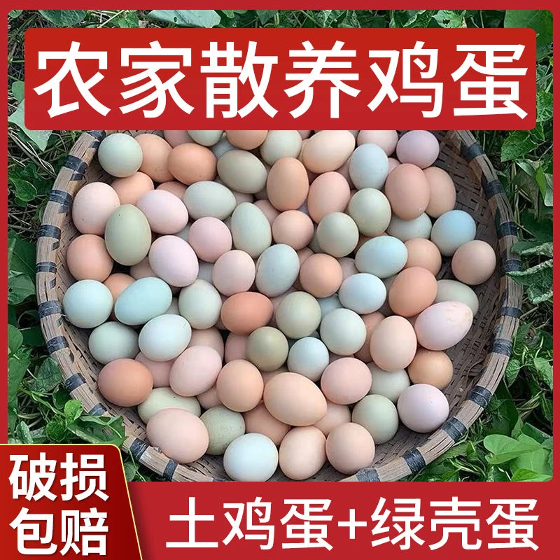 【混合装】土鸡蛋乌鸡蛋混合装正宗农家散养土鸡蛋新鲜乌鸡蛋产地