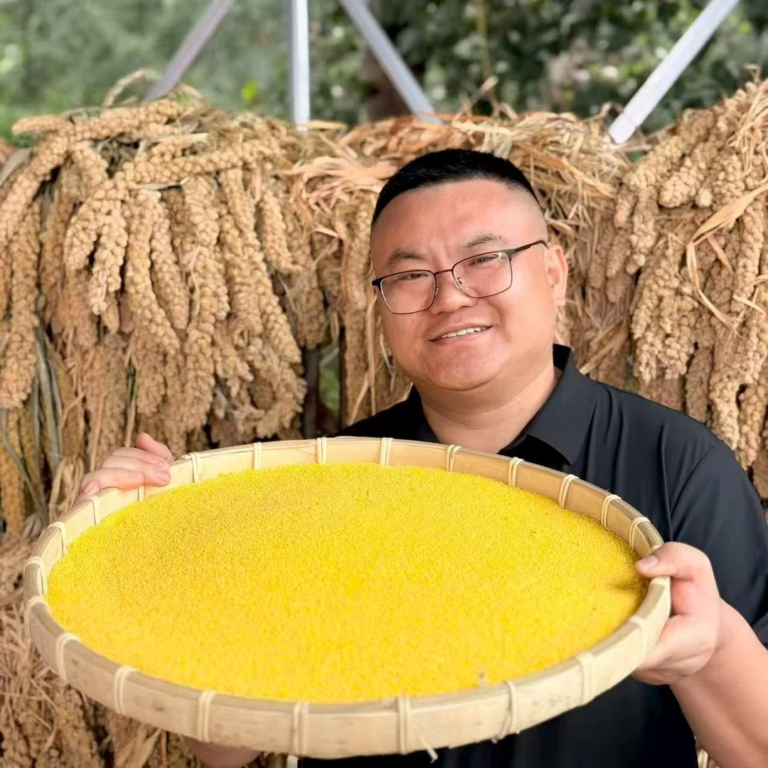 【张班长推荐石碾小米】新小米黄小米煮粥醇厚香糯粘稠油小米-KK