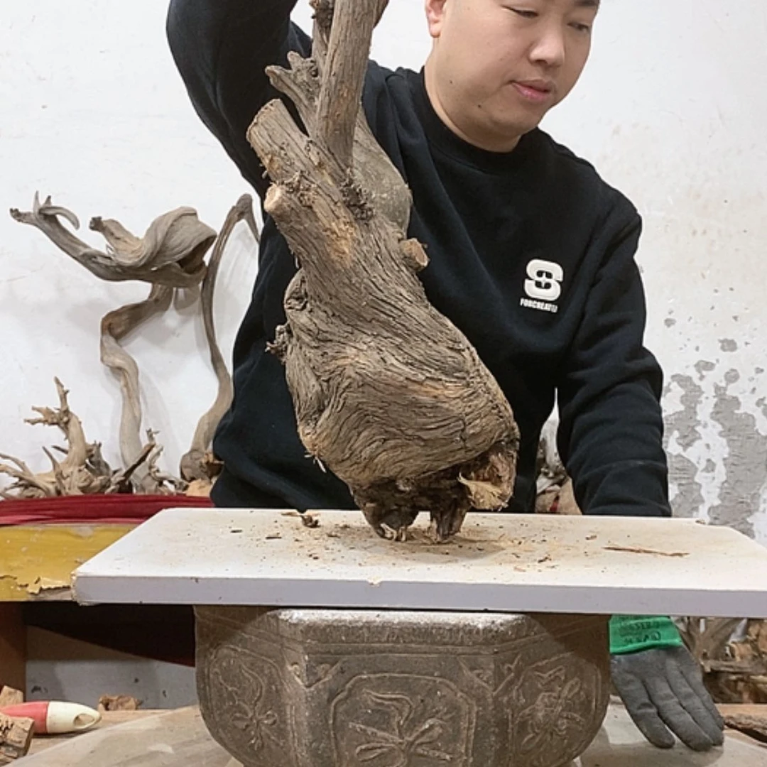 【闪购商品】柏木正****馆我们都是好孩子