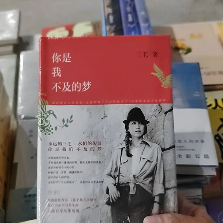 三毛你是我不及的梦