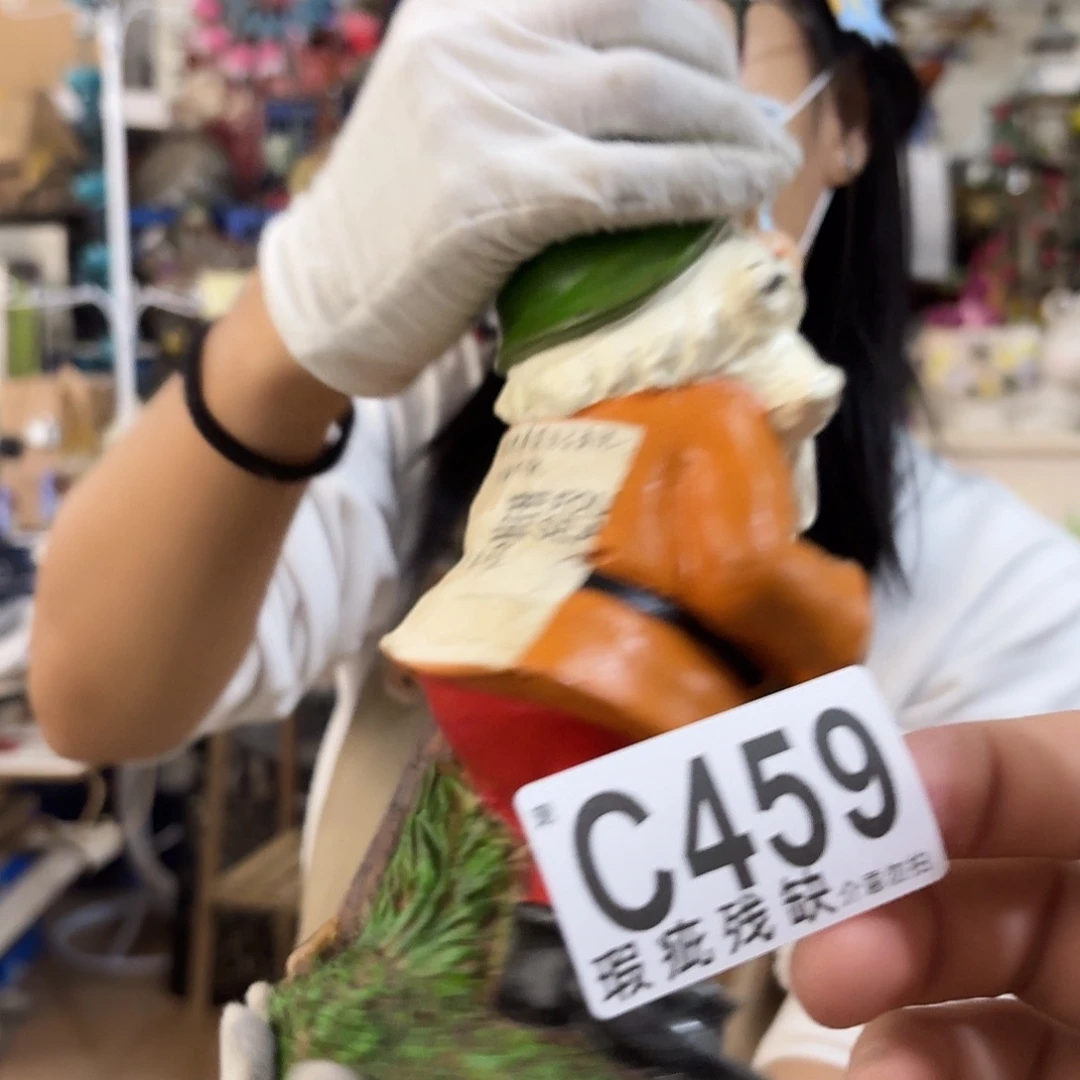 核桃木/黑胡桃（胡桃木）