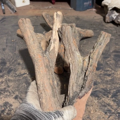 黑***队大果紫檀（缅甸花梨）